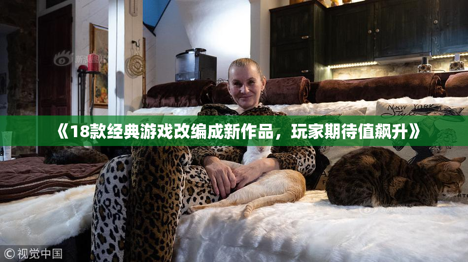 《18款经典游戏改编成新作品，玩家期待值飙升》