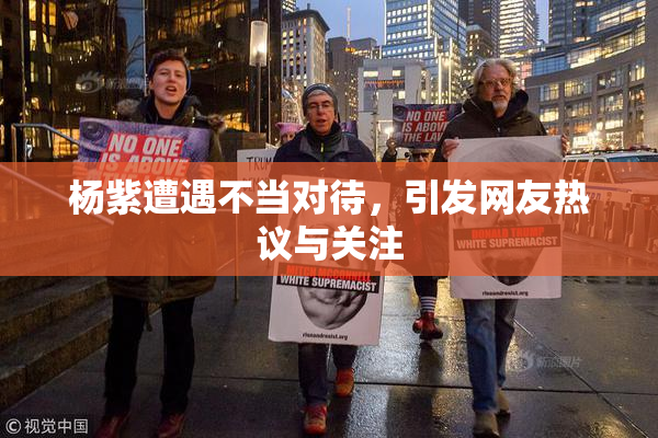 杨紫遭遇不当对待，引发网友热议与关注