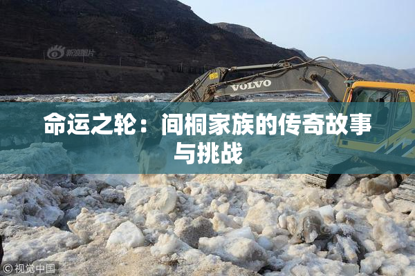 命运之轮：间桐家族的传奇故事与挑战
