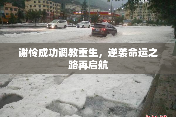 谢怜成功调教重生，逆袭命运之路再启航