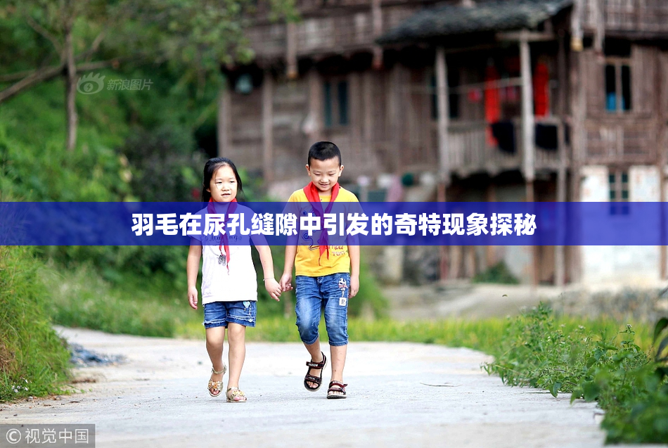 羽毛在尿孔缝隙中引发的奇特现象探秘