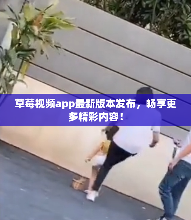 草莓视频app最新版本发布，畅享更多精彩内容！