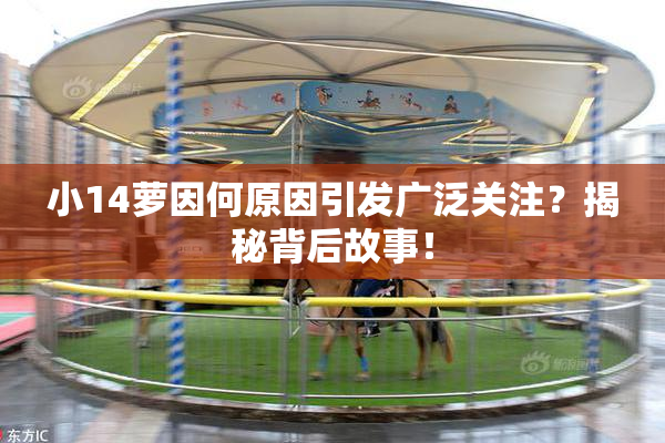 小14萝因何原因引发广泛关注？揭秘背后故事！