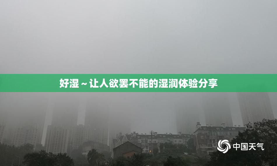 好湿～让人欲罢不能的湿润体验分享
