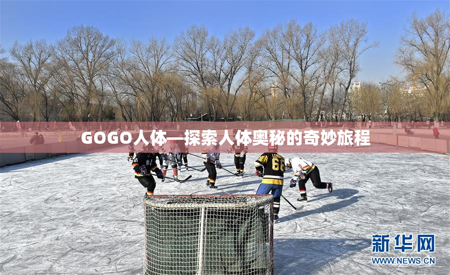 GOGO人体—探索人体奥秘的奇妙旅程