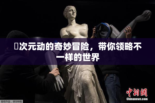 囧次元动的奇妙冒险，带你领略不一样的世界