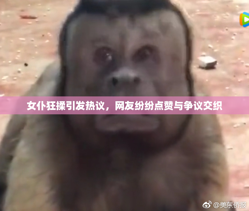 女仆狂揉引发热议，网友纷纷点赞与争议交织