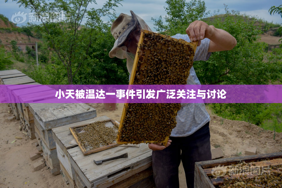 小天被温达一事件引发广泛关注与讨论