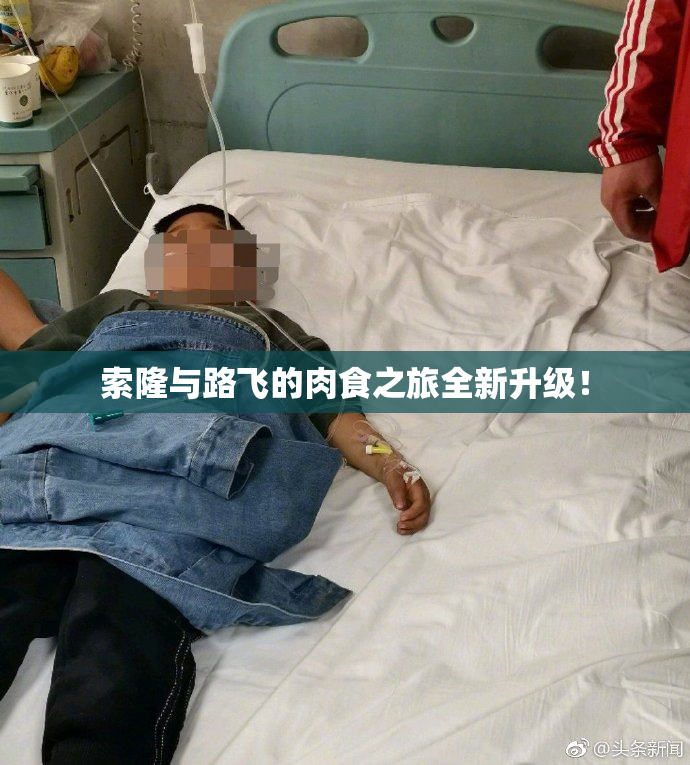 索隆与路飞的肉食之旅全新升级！