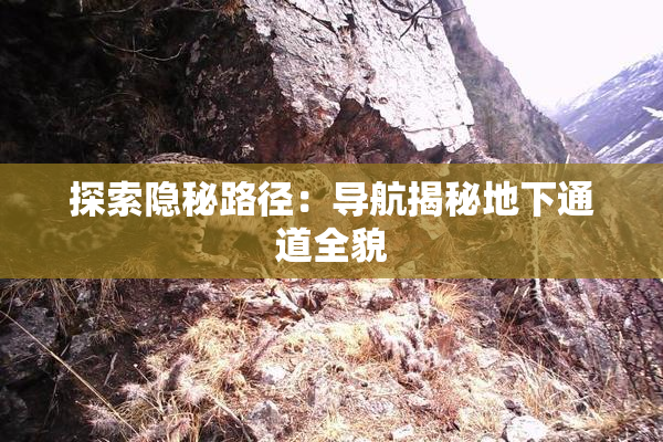 探索隐秘路径：导航揭秘地下通道全貌