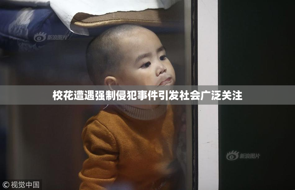 校花遭遇强制侵犯事件引发社会广泛关注