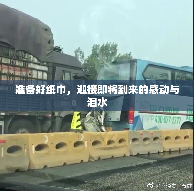准备好纸巾，迎接即将到来的感动与泪水