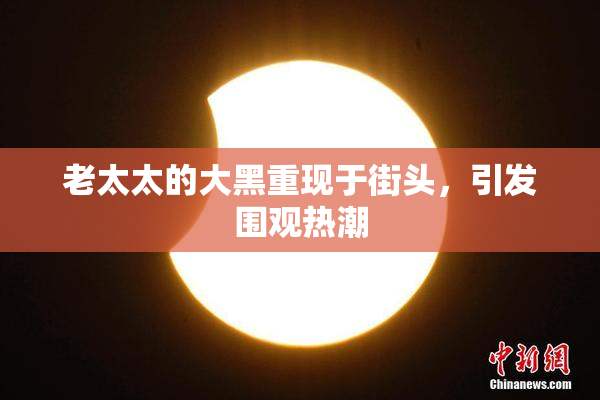 老太太的大黑重现于街头，引发围观热潮