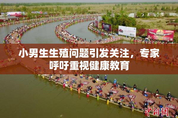 小男生生殖问题引发关注，专家呼吁重视健康教育