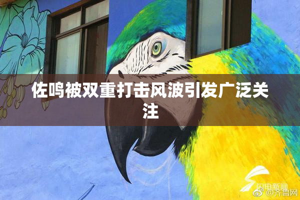 佐鸣被双重打击风波引发广泛关注