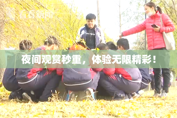 夜间观赏秒重，体验无限精彩！