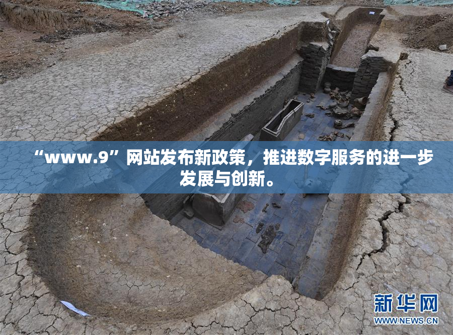 “www.9”网站发布新政策，推进数字服务的进一步发展与创新。