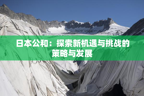 日本公和：探索新机遇与挑战的策略与发展