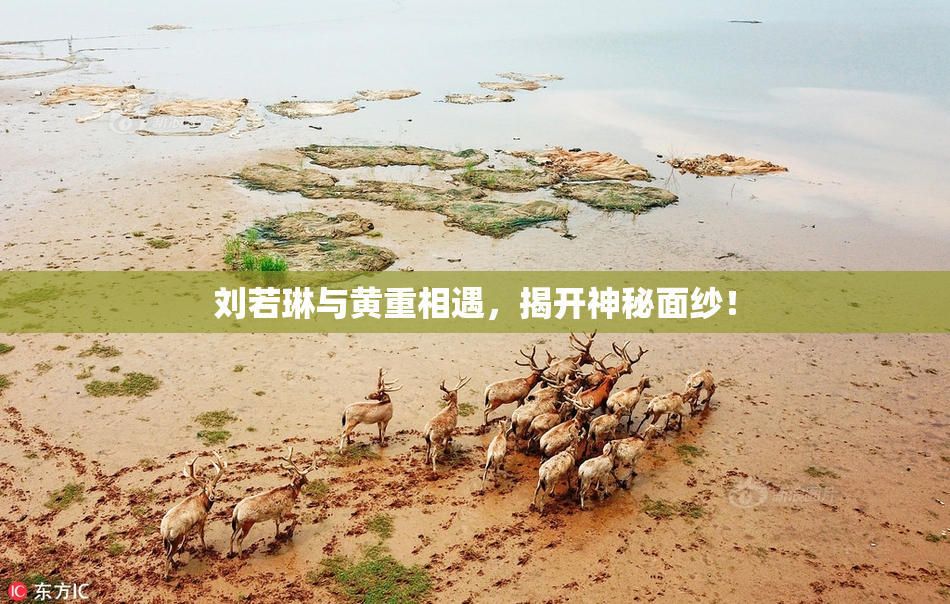 刘若琳与黄重相遇，揭开神秘面纱！