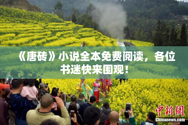 《唐砖》小说全本免费阅读，各位书迷快来围观！