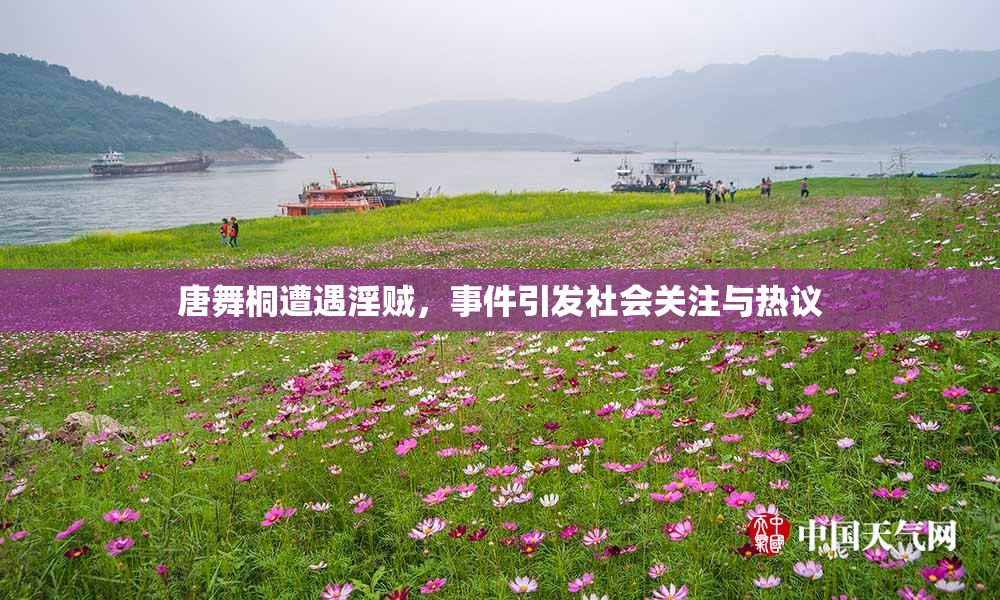 唐舞桐遭遇淫贼，事件引发社会关注与热议