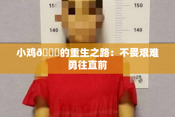 小鸡🐔的重生之路：不畏艰难勇往直前