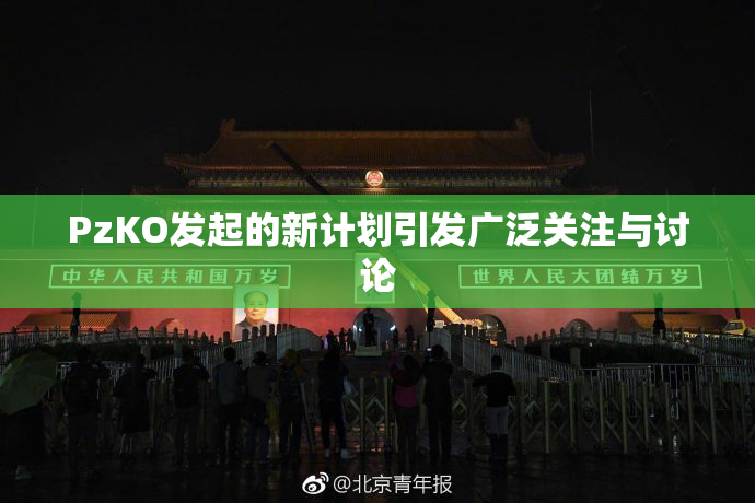 PzKO发起的新计划引发广泛关注与讨论
