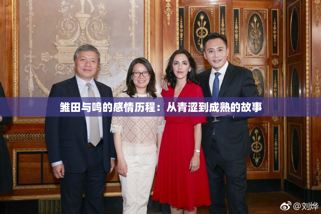 雏田与鸣的感情历程：从青涩到成熟的故事
