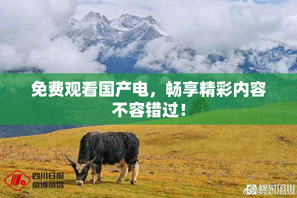 免费观看国产电，畅享精彩内容不容错过！