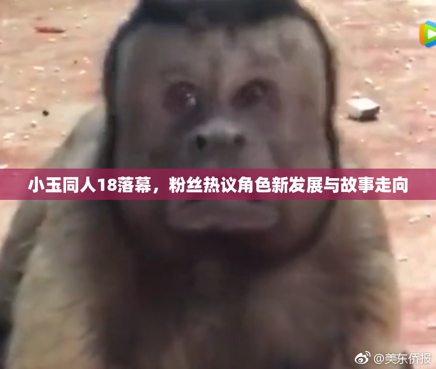 小玉同人18落幕，粉丝热议角色新发展与故事走向