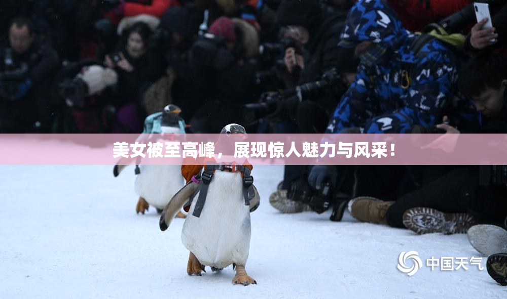 美女被至高峰，展现惊人魅力与风采！