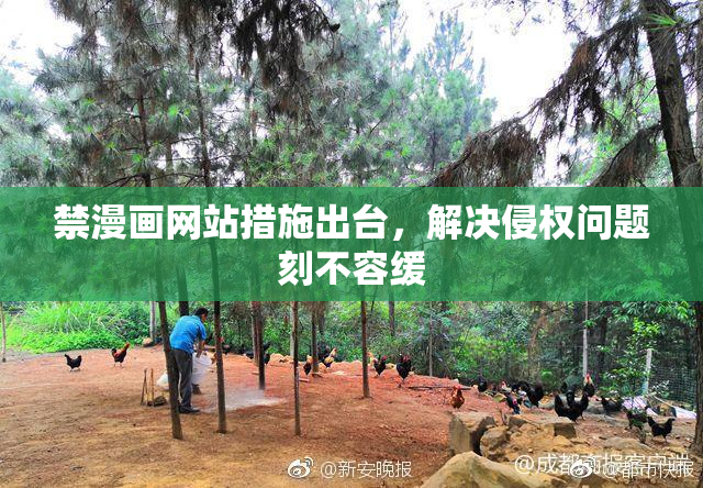 禁漫画网站措施出台，解决侵权问题刻不容缓