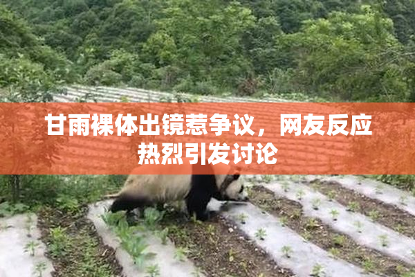 甘雨裸体出镜惹争议，网友反应热烈引发讨论