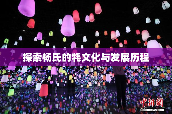探索杨氏的牦文化与发展历程