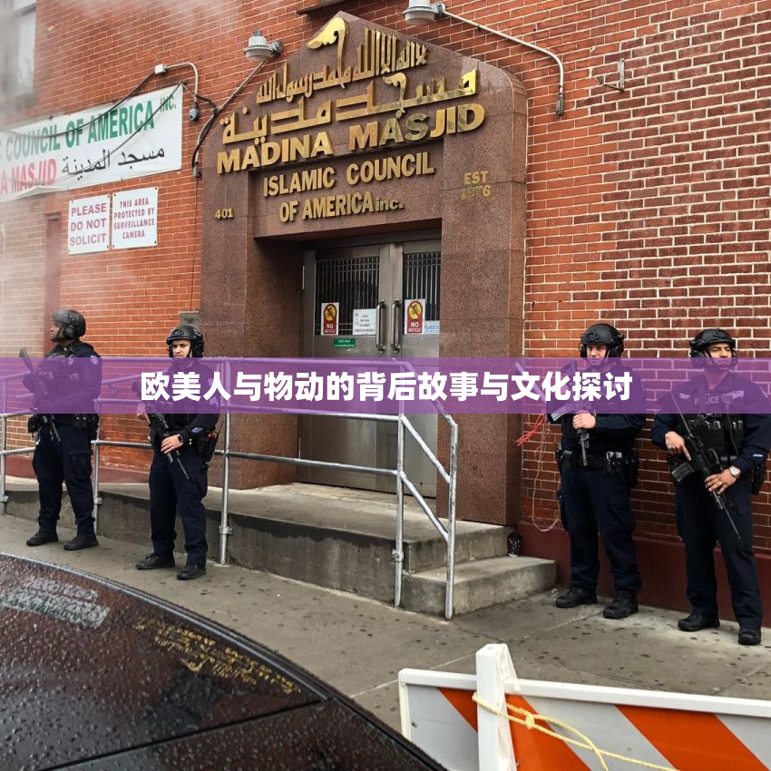 欧美人与物动的背后故事与文化探讨