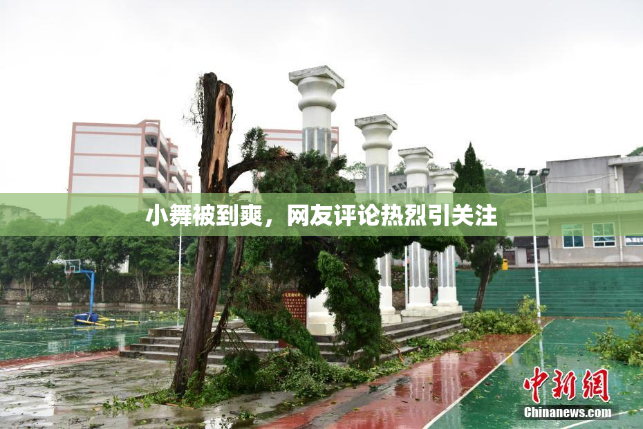 小舞被到爽，网友评论热烈引关注