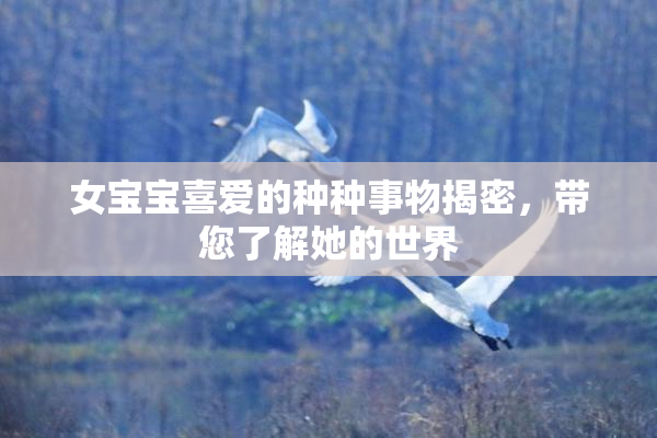 女宝宝喜爱的种种事物揭密，带您了解她的世界