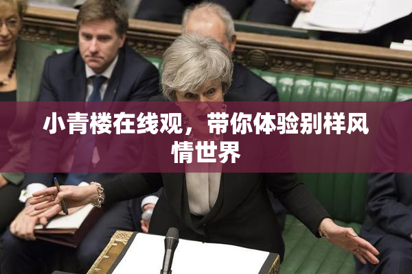 小青楼在线观，带你体验别样风情世界