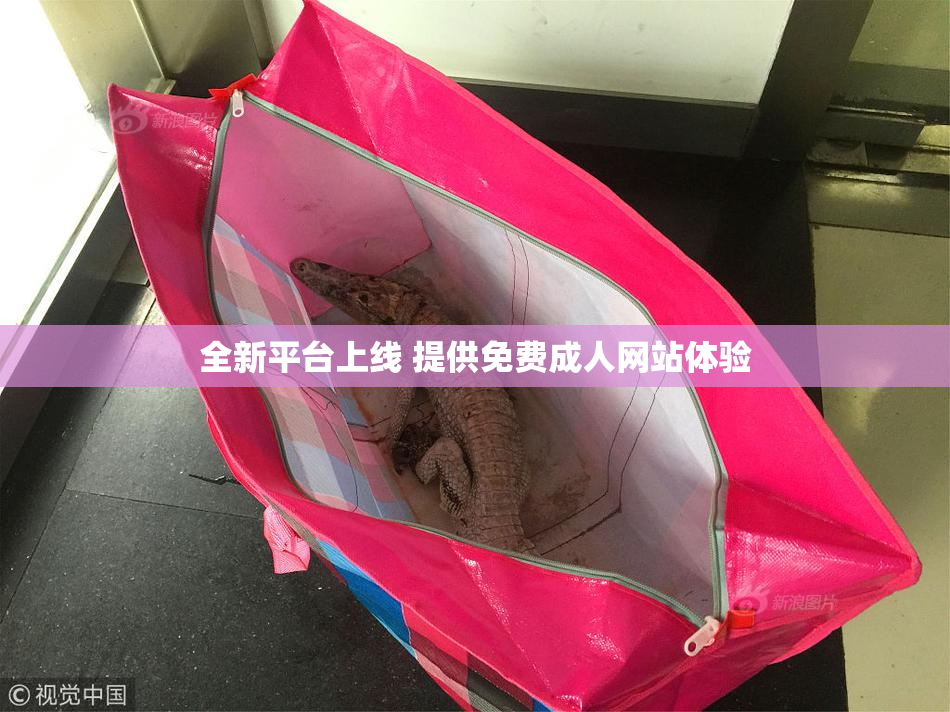全新平台上线 提供免费成人网站体验