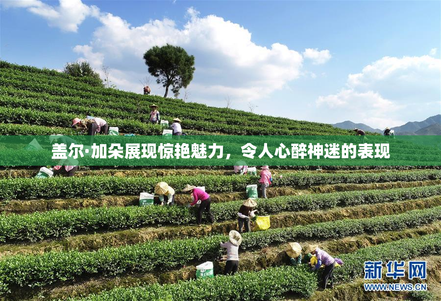 盖尔·加朵展现惊艳魅力，令人心醉神迷的表现