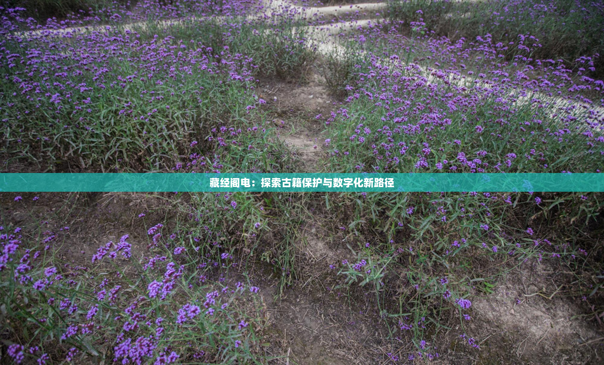 藏经阁电：探索古籍保护与数字化新路径