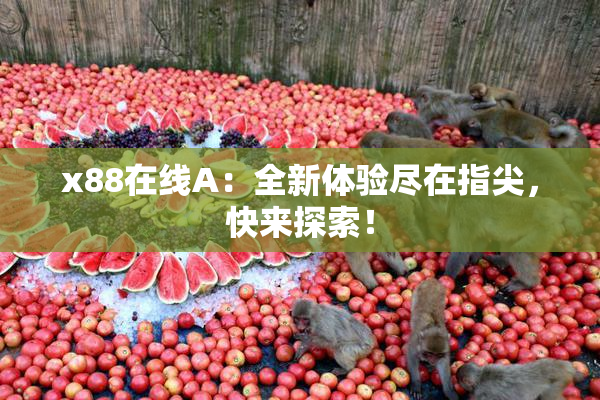 x88在线A：全新体验尽在指尖，快来探索！