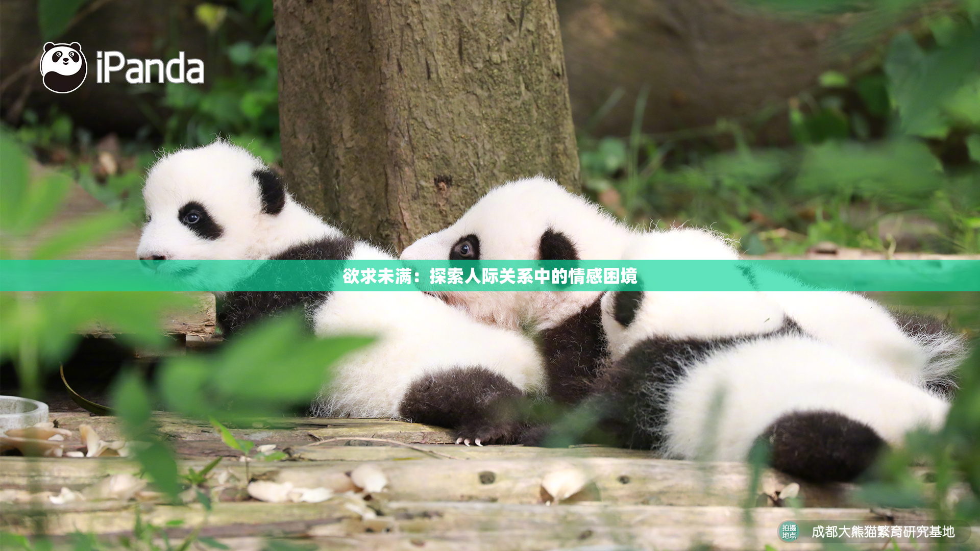欲求未满：探索人际关系中的情感困境