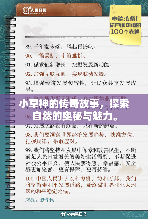 小草神的传奇故事，探索自然的奥秘与魅力。
