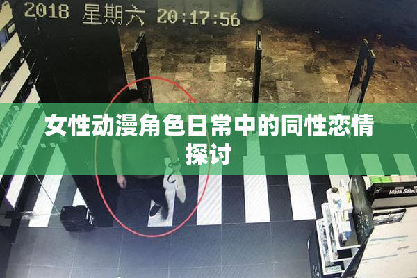 女性动漫角色日常中的同性恋情探讨