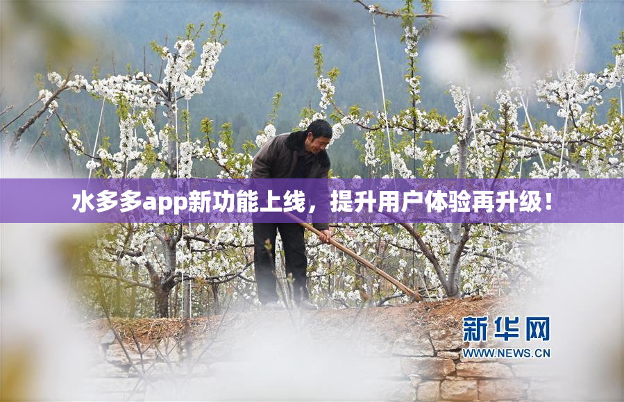 水多多app新功能上线，提升用户体验再升级！