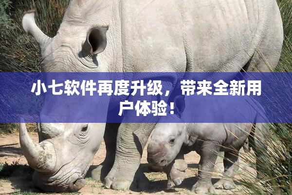 小七软件再度升级，带来全新用户体验！
