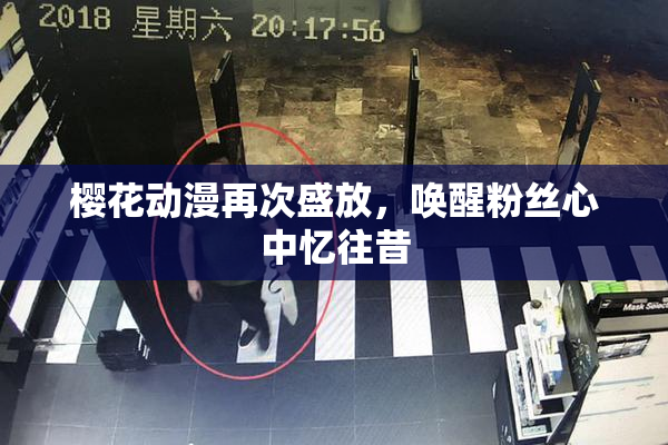 樱花动漫再次盛放，唤醒粉丝心中忆往昔