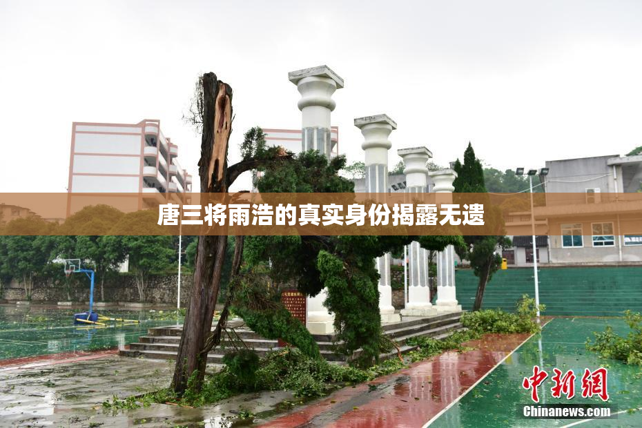 唐三将雨浩的真实身份揭露无遗