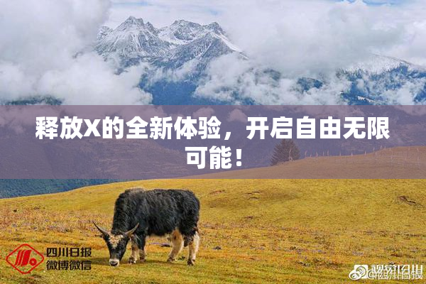 释放X的全新体验，开启自由无限可能！